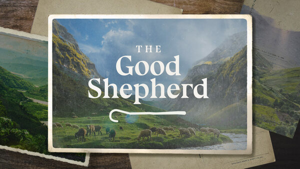 The Good Shepherd series art